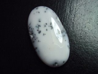 Dendritic Opal 68,33 Ct. oval cabochon India