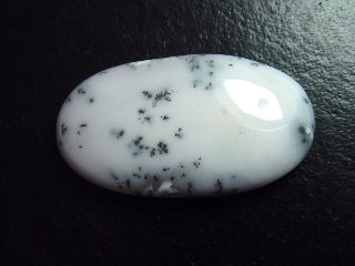 Dendritic Opal 68,33 Ct. oval cabochon India
