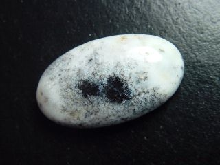 Dendritenopal 43,12 Ct. Oval Cabochon Indien