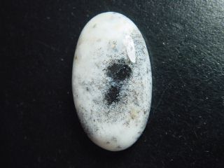 Dendritenopal 43,12 Ct. Oval Cabochon Indien