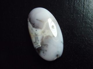 Dendritenopal 39,93 Ct. Oval Cabochon Indien
