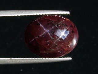 Star Garnet 16,92 Ct. four ray star cabochon India