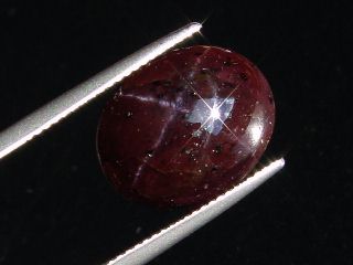 Star Garnet 16,92 Ct. four ray star cabochon India
