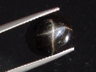 Sterndiopsid / Stern Diopsid 9,07 Ct. - feiner Stern Oval
