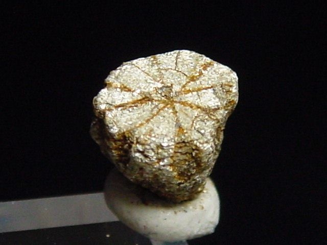 Trapiche Cordierit, Cerasit / Kirschblütenstein 6,5 mm selten Kyoto, Japan
