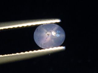 Sternsaphir 1,34 Ct. Naturfarbe 6 x 5 mm Oval Cabochon