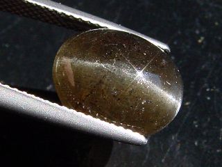 Sillimanite cat's eye 6,07 Ct. oval cabochon Sri Lanka