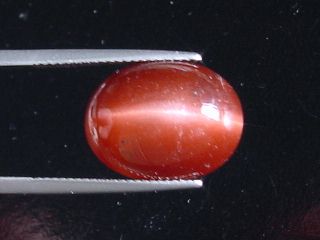 Scapolite Catseye 12,56 Ct. fine redbrown Tanzania