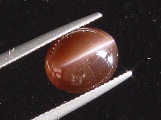 Scapolite Catseye 4,91 Ct. brown cabochon Madag.