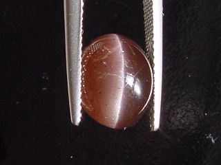 Scapolite Catseye 4,91 Ct. brown cabochon Madag.