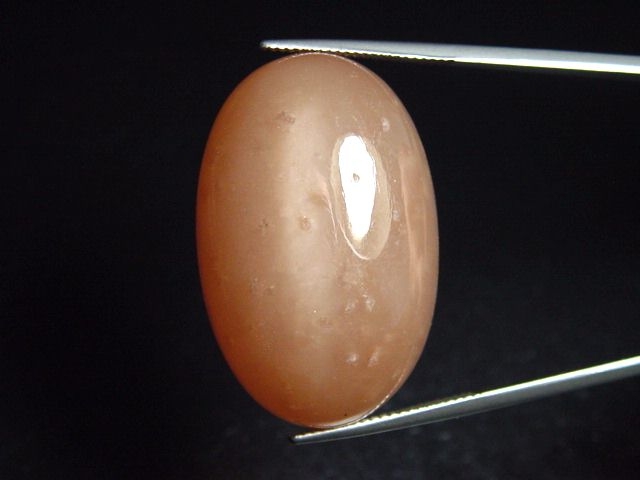 Mondstein braun 63,84 Ct. Oval Cabochon 34 x 22 mm