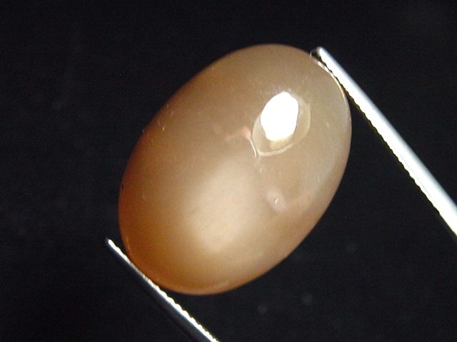 Moonstone brown 28,06 Ct. oval cabochon