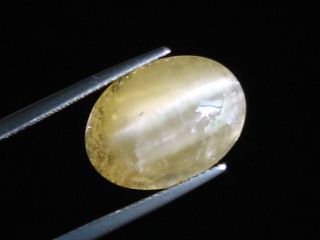 Danburit Katzenauge 10,70 Ct. gelb - Morogoro, Tansania