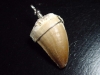 Mosasaur tooth pendant 925 silver - 5,2 cm - Mosasaurus Dinosaur