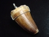 Mosasaur tooth pendant 925 silver - 5,5 cm - Mosasaurus Dinosaur