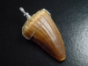 Mosasaur tooth pendant 925 silver - 5,2 cm - Mosasaurus Dinosaur