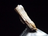 Diaspore crystal 28 mm - Anatolia, Turkey