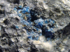 Hauyne / Hauynite specimen 51 mm - Laacher See, Eifel, Germany