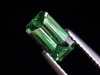 Tsavorite Garnet 1,19 Ct. top color octagon
