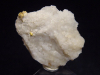 Gold crystalline in Quartz specimen 33 mm - Brusson, Val d'Aosta, Italy