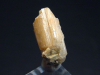Phenakite crystal 13,5 mm - Piracicaba, Minas Gerais, Brazil