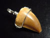 Mosasaur tooth pendant 925 silver - 3,7 cm - Mosasaurus Dinosaur