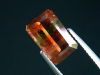 Tourmaline 3,72 Ct. multicolor octagon Brazil