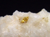Gold crystalline in Quartz 26 mm Brusson, Val d'Aosta, Italy