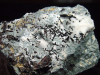 Neptunite specimen 53 mm - San Benito Co., California, USA