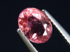 Rubellite / red Tourmaline 1,40 Ct. oval Brazil