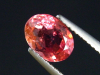 Tourmaline 1,54 Ct. bicolor pink and padparadsha oval Brazil